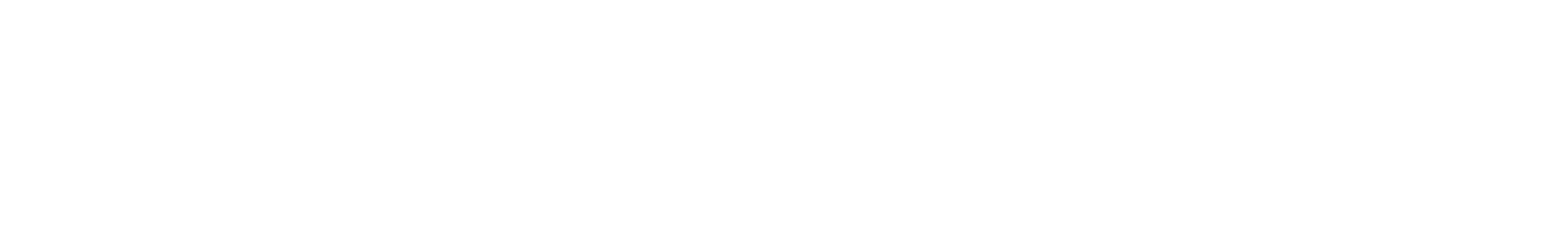 Skyfish End-to-End Platform